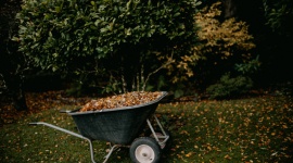 Konserwacja sprzętu ogrodniczego